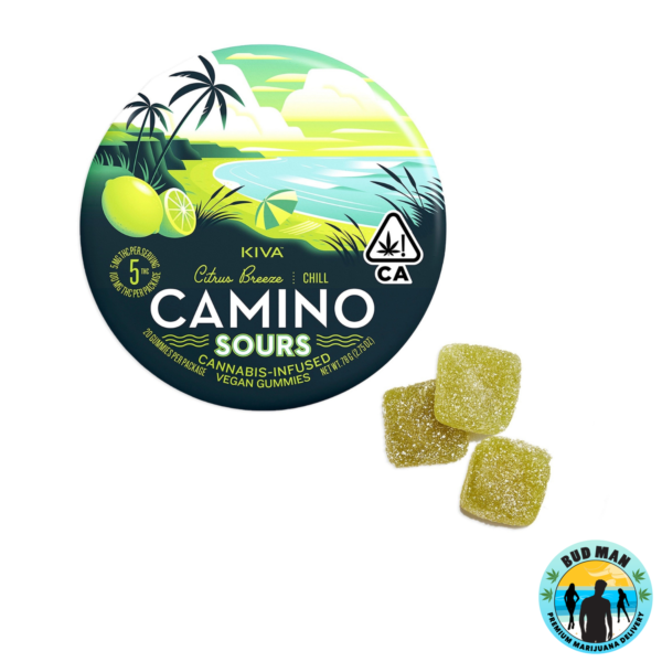 Kiva Camino Gummies (100mg THC – 10 options)