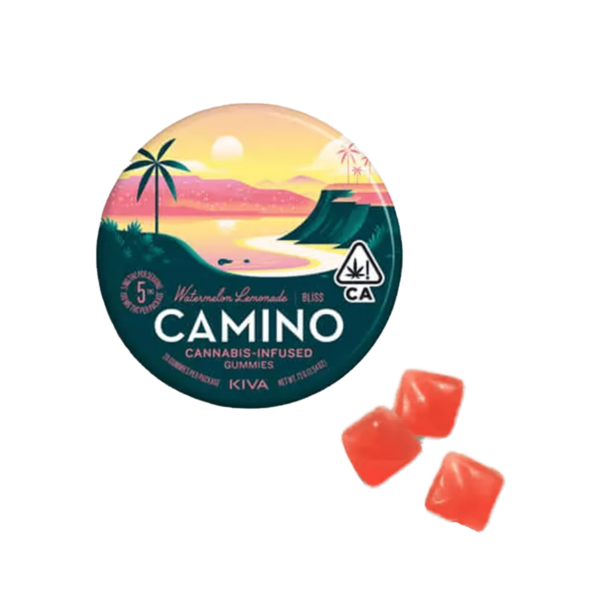 Camino Sours – Watermelon Lemonade 100mg