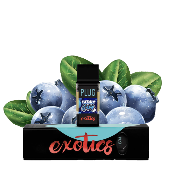 PLUGplay Exotics Cartridge – Berry Gang 1g